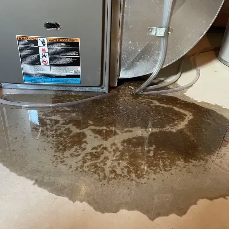 Appliance Leak Cleanup in South Highpoint, FL